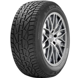 RIKEN SUV SNOW 215/65R16 102H XL