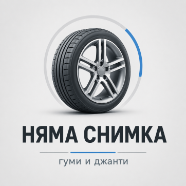 BEARWAY BW118 285/30 R19 98W