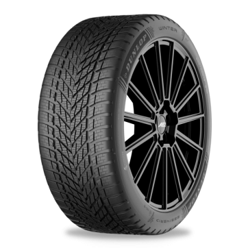Dunlop WINTER 275/35R19 100V